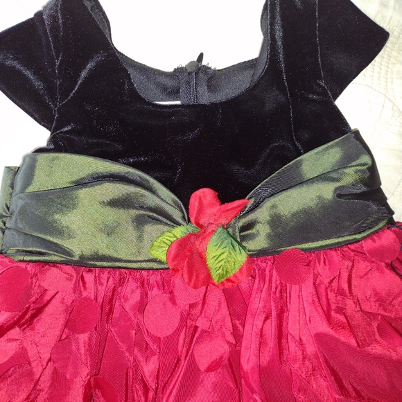 IRIS & IVY TODDLER BABY GIRL DRESS SIZE 2T - Picture 3 of 5